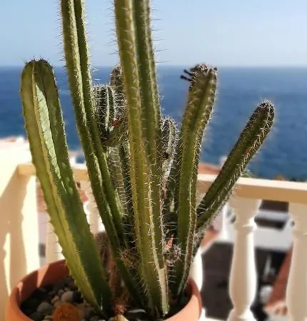 Casa Laura
